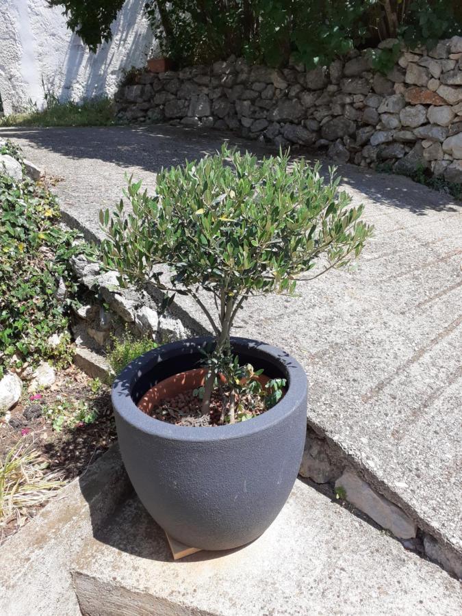 Apartman Danijela Zagorje Buitenkant foto