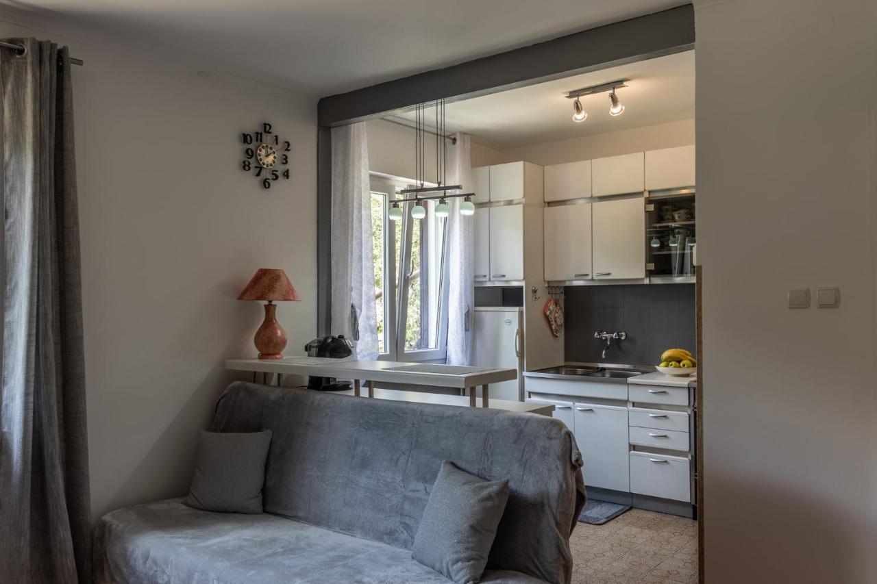 Apartman Danijela Zagorje Buitenkant foto