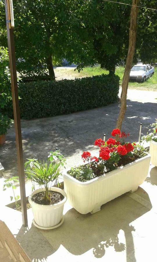Apartman Danijela Zagorje Buitenkant foto