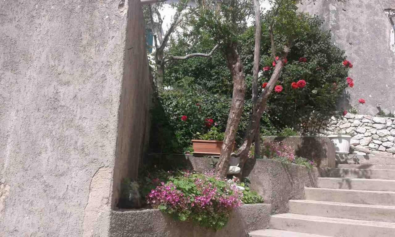 Apartman Danijela Zagorje Buitenkant foto