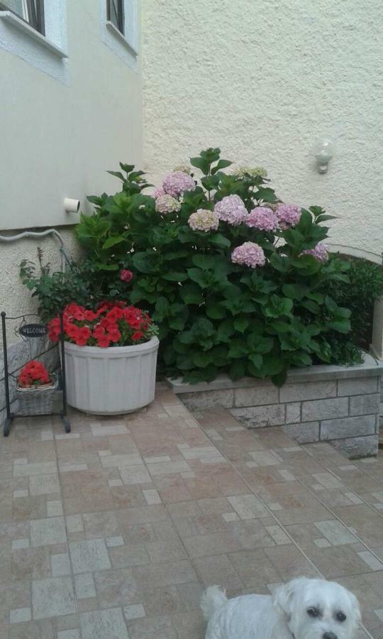 Apartman Danijela Zagorje Buitenkant foto